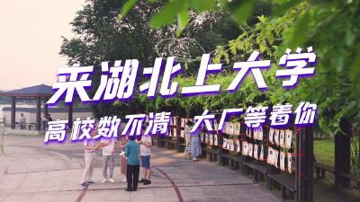 这是一则“相亲”广告