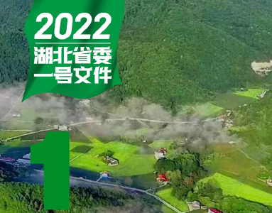 这份“礼包”够硬核！9张图带您秒懂2022年湖北省委一号文件