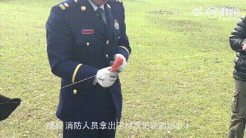 锋利无比！每年都有人因此受伤