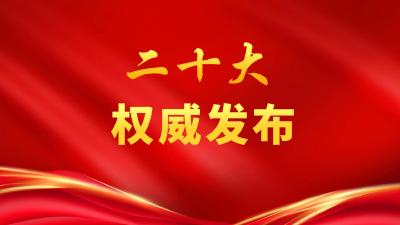 中国共产党第二十次全国代表大会关于十九届中央纪律检查委员会工作报告的决议 