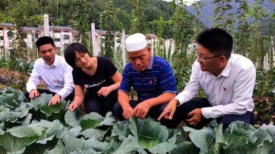 了不起！郧西这个偏远小乡，20年走出三位全国党代表！