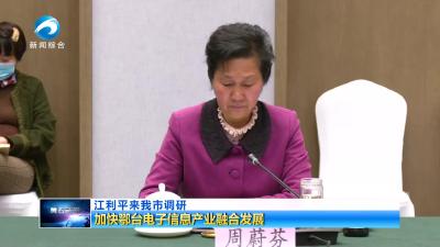 加快鄂台电子信息产业融合发展