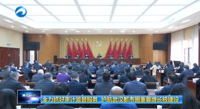 全力抓好审计监督服务  护航武汉都市圈重要增长极建设