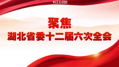 【专题】中共湖北省委十二届六次全体会议
