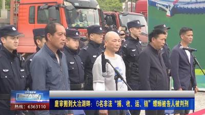【新闻直通车】庭审搬到大冶湖畔： 6名非法“捕、收、运、销”螺蛳被告人被判刑