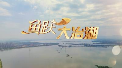 #鱼跃大冶湖 “趣”说大冶湖·人文