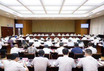 全市上半年经济形势分析会暨市打造武汉都市圈重要增长极领导小组第三次会议召开