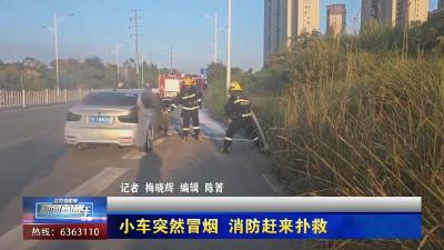 【新闻直通车】小车突然冒烟 消防赶来扑救