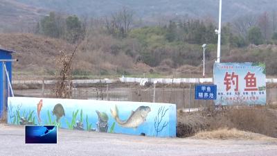 在希望的田野上 | 金山店镇山下村：打造“鳖”具一格致富路