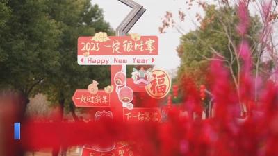 【新闻直通车】花开迎新春 花市年味浓