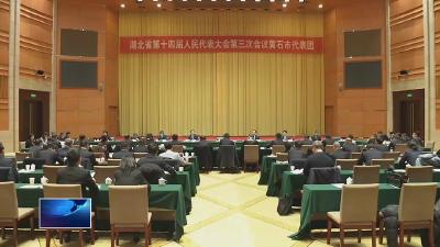 邵新宇、彭勇、王兴於参加省十四届人大三次会议黄石代表团审议  加快建成武汉都市圈重要增长极　为湖北加快建成中部地区崛起的重要战略支点作出更大贡献