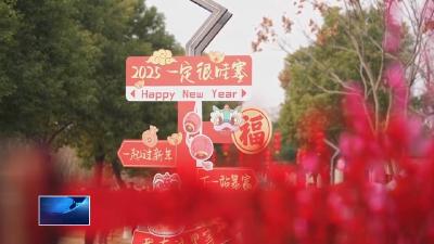 我们的节日·春节  |  花开迎新春 花市年味浓