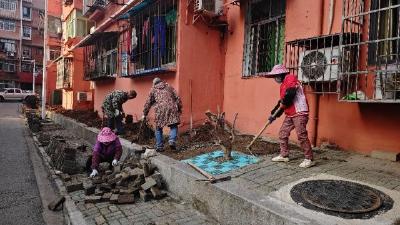 曹家林社区：花坛改造换新颜  居民生活添新彩