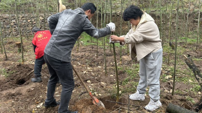 管山社区党员引领绿色发展，植树造林添新绿