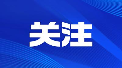 推动区域发展战略合力叠加 ——“牛肚子理论”对于加快建成支点的启示