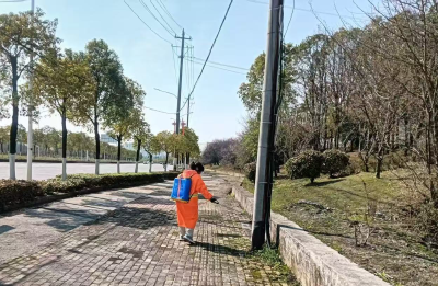 人行道砖缝除草 保障群众出行安全