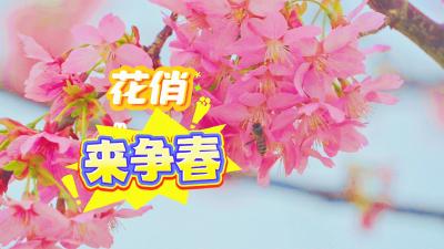 湖北黄石：一株独秀 花俏争春