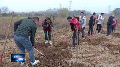 不负春光 绿满黄石 | 罗家桥街道：大手牵小手 播种生态绿