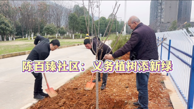 陈百臻社区：义务植树添新绿