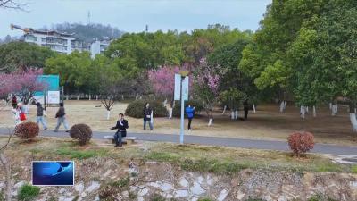 直通县市区·第一时间  |  黄石港区盲协主席汪钱荣获“全国自强模范”称号