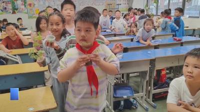 【新闻直通车】关爱保护未成年人健康成长  |  湖滨路小学：植物博览会 “植”此青绿共成长