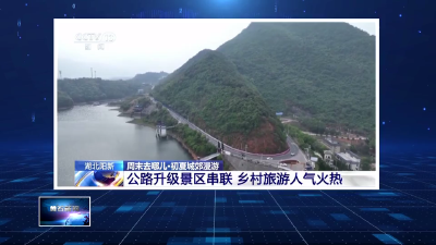 央视关注：黄石“四好农村路”拓宽乡村游新画卷