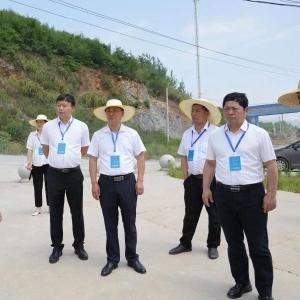 【基层时讯】黄石市、阳新县人大代表考察丰山铜矿尾矿库闭库治理工作