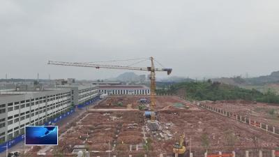 奋进第一方阵 建功支点建设·“项”前冲  |  西塞山区：向产业聚焦 向发展聚能