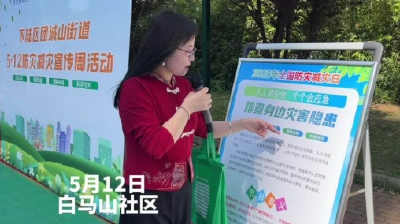 筑牢安全防线 守护美丽家园 团城山街道开展防灾减灾日主题宣传