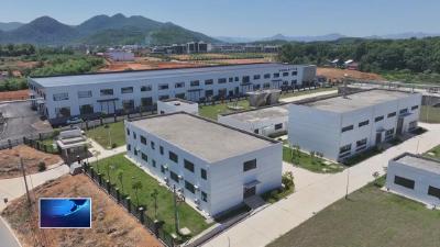 在希望的田野上  |  从“春茶一季”到“四时有收” 阳新建成湖北省首条全自动乌龙茶大宗茶生产线