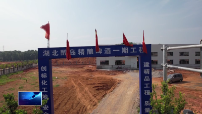 奋战二季度 冲刺双过半 | 阳新县首座精酿啤酒生产基地冲刺六月投产