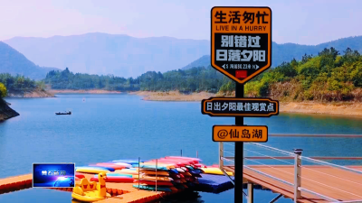 小镇追梦人张运营：以民宿为笔  绘就乡村共富画卷