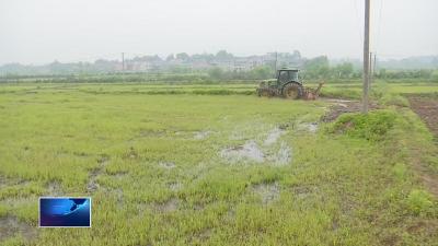 在希望的田野上  |  鑫曙农机种植专业合作社：“铁牛“驰骋助春耕 