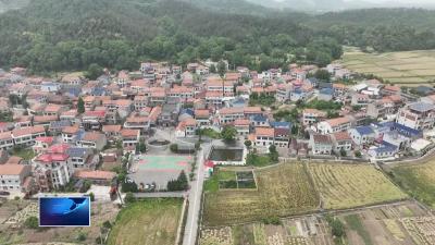 创建生态文明建设示范区  |  告别污水横流 生态治理扮靓和美乡村