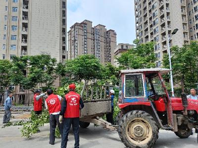 胜利路社区开展树木修剪活动 助力人居环境提升