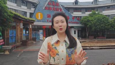 【新闻直通车】记者vlog·上春山 采春茶 游黄石  |  阳新仙岛湖：舟行碧波揽湖光 枕风听鸟宿仙岛
