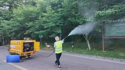 【新闻直通车】团城山公园：红蜘蛛“作妖” “植物医生”来了