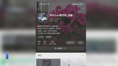 【新闻直通车】苏黄一家亲  |  常州游客打卡黄石地标“东楚之窗”