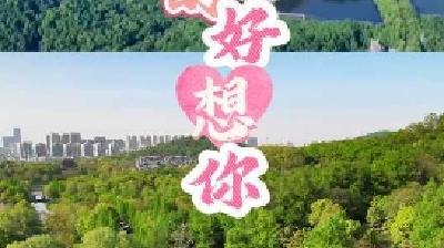 最镇江：镇江喊话黄石  “镇”的好想你，你“石”我灿烂的黎明