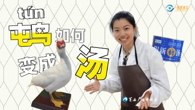 一眼看黄石：屯鸟如何变成汤