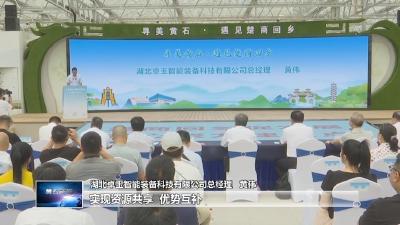 楚商归巢 黄石弄潮  |  乡情为桥 楚商回乡激活发展新动能