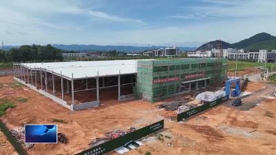 奋进第一方阵 建功支点建设  |  阳新食来运转项目：“瘦身”鳙鱼“游”出亿元产值 