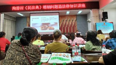 陶港镇开展禁毒宣传进村活动 筑牢家庭禁毒防线