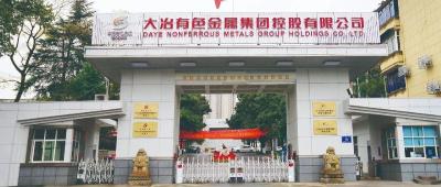 提升全员学习力 创建学习型组织——公司深学细做打造学习型组织