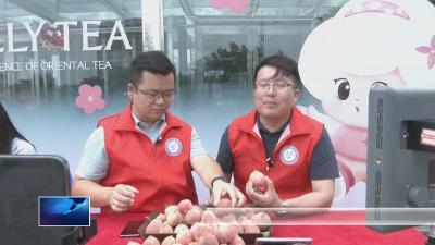 弘扬三大精神 奋力建成支点  |  党员干部直播“带货” 保安狗血桃走俏“云端”