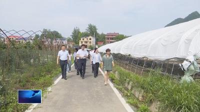弘扬巾帼风采 助力乡村振兴
