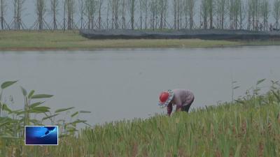 奋战二季度 冲刺双过半  |  风雨无阻 大冶湖北岸环湖绿道建设加速推进