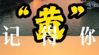 盐城文旅：因为刚好遇见你，留下“石”年的期许。如果再相遇，我想我“黄”记得你！