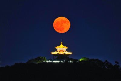 2025“最低满月”限时登场！你看到了吗？