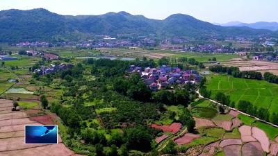 全力防汛备汛 筑牢安全防线 | 茗山乡：多措并举 筑牢水域安全防线
